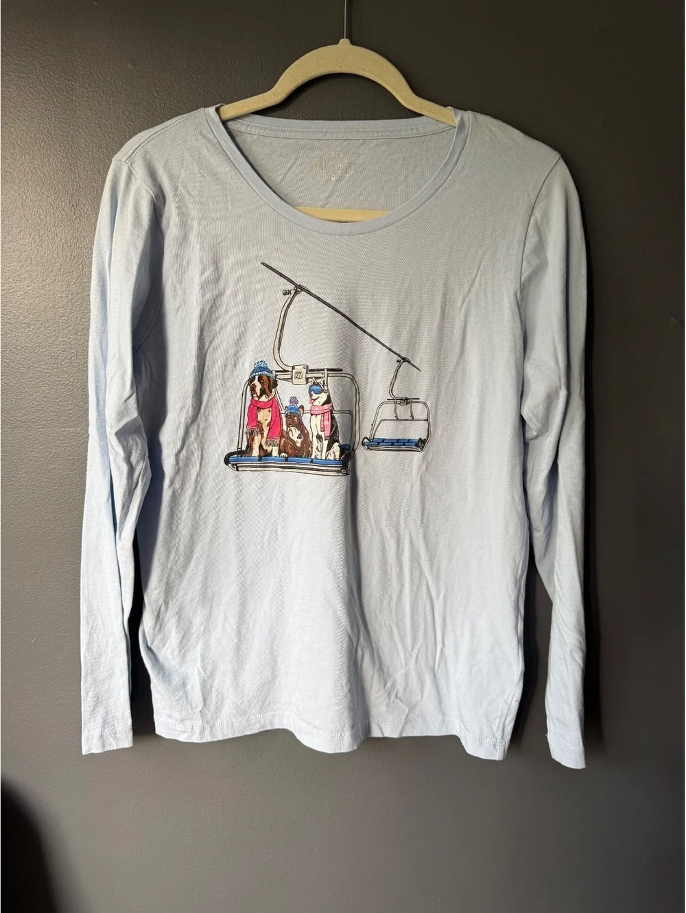 J.Crew Light Blue Long Sleeve Collector Tee with Ski Lift Dogs Graphic, Size M